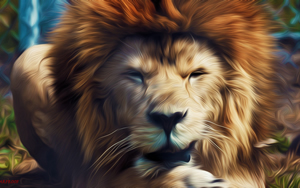 Wallpaper Gatti - Leoni - Tigri