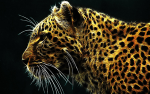 Wallpaper Gatti - Leoni - Tigri