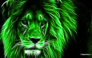 Wallpaper Gatti - Leoni - Tigri