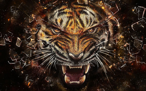 Wallpaper Gatti - Leoni - Tigri