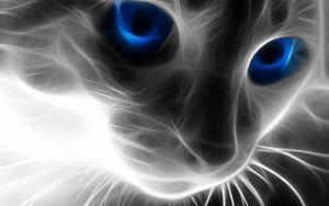 Wallpaper Gatti - Leoni - Tigri