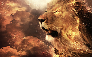 Wallpaper Gatti - Leoni - Tigri