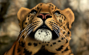 Wallpaper Gatti - Leoni - Tigri
