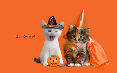 sfondi di Halloween