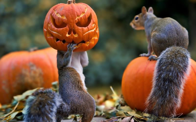 Il 31 Ottobre si celebra Halloween