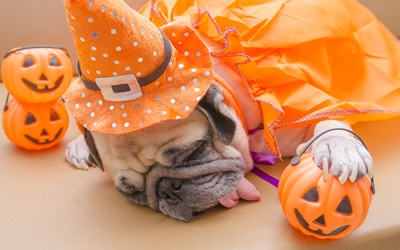 Il 31 Ottobre si celebra Halloween