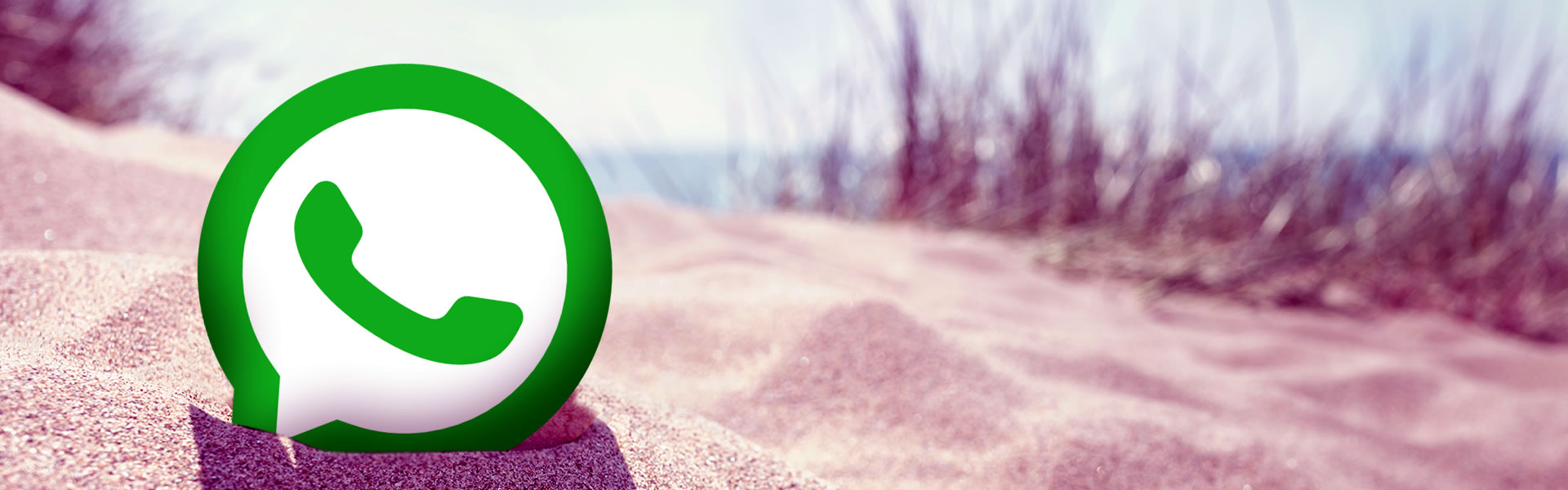 WhatsApp Web. Ecco come Fare
