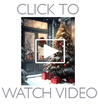 Video La Scuola di Babbo Natale