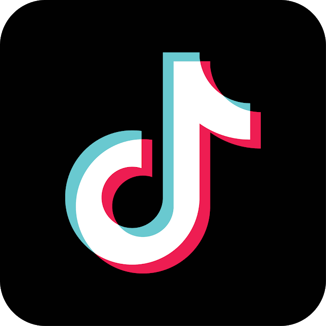 Tiktok video Downloader
