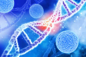 DNA spiegazione e quiz