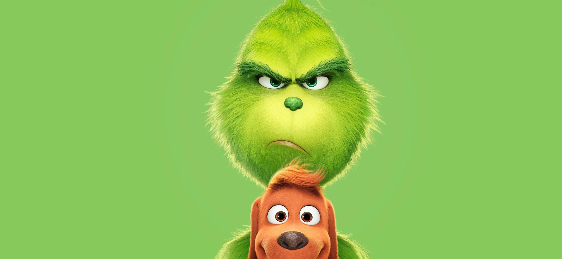 Cosa sai sul Grinch?
