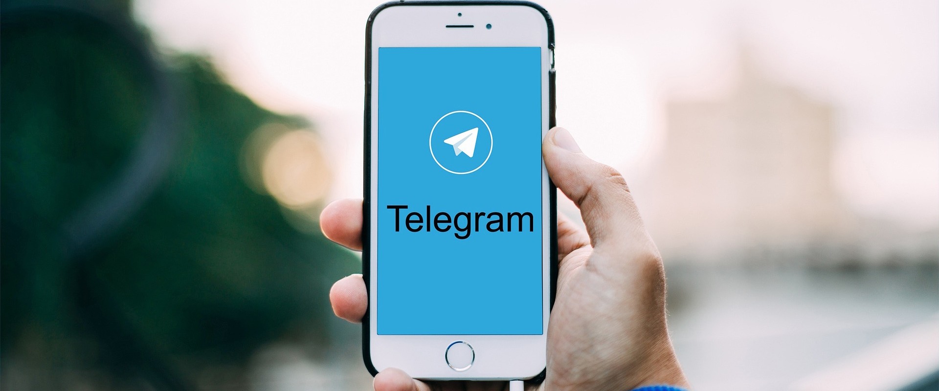 Icone telegram animate